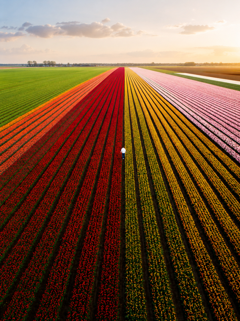 The Netherlands Zenvoya