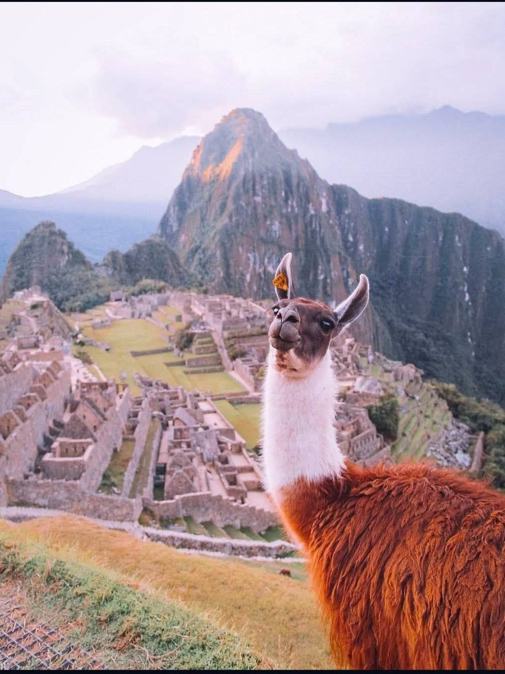 Machu Picchu Signature Journey psx 20260728 215824