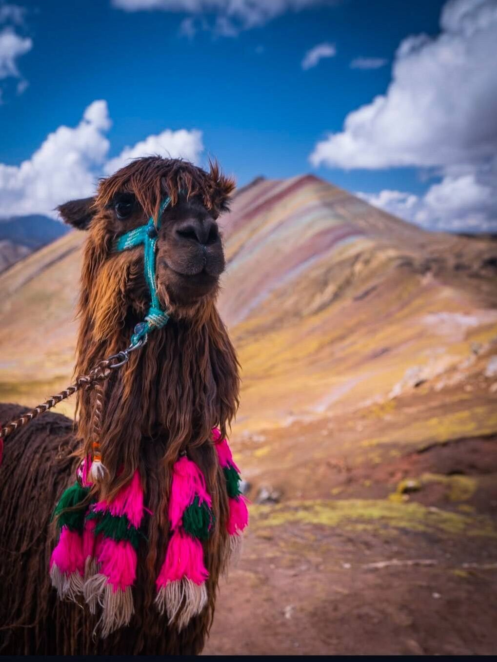 Arequipa White City & Santa Catalina Experience psx 20260729 000203