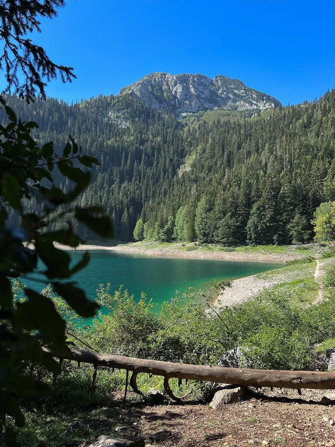 summer explorations in durmitor national park. 🌲 when visiting montenegro, make sure to put bla(1)