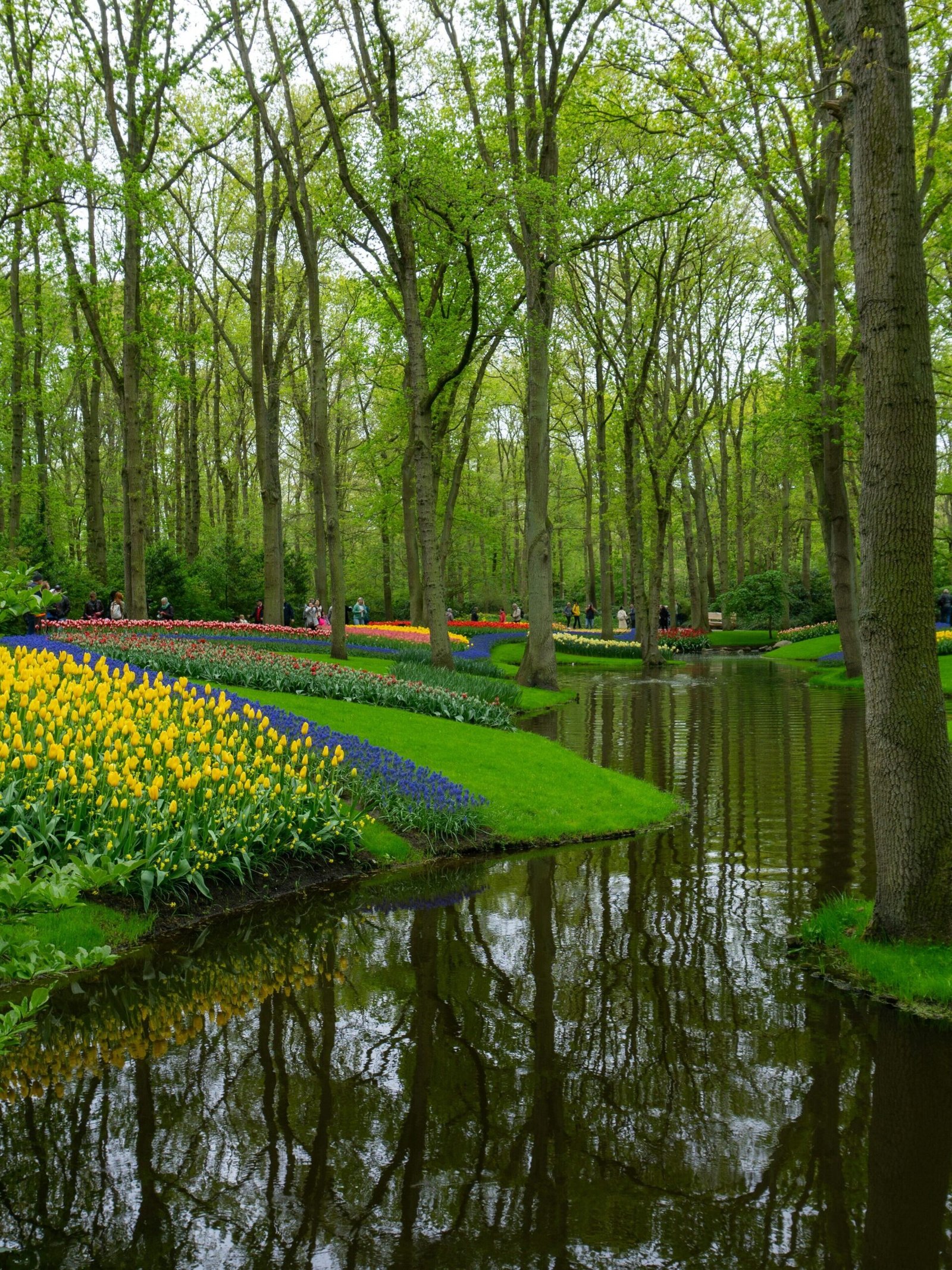 The Netherlands Zenvoya