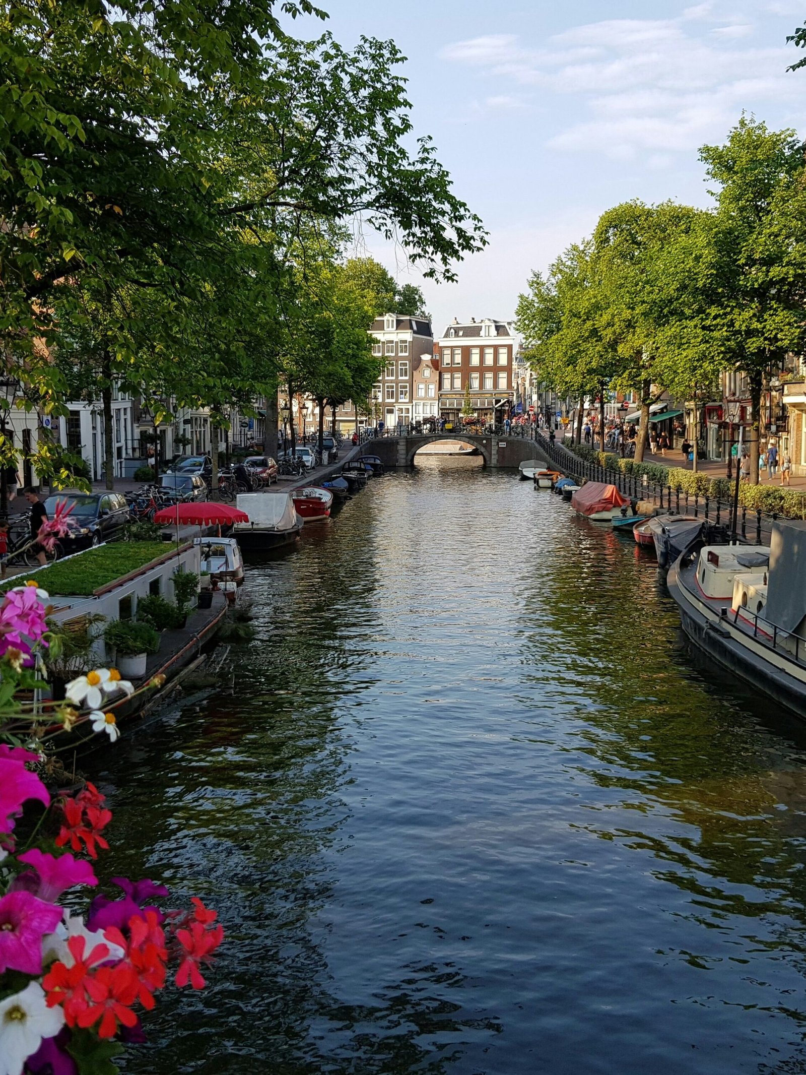 The Netherlands Zenvoya