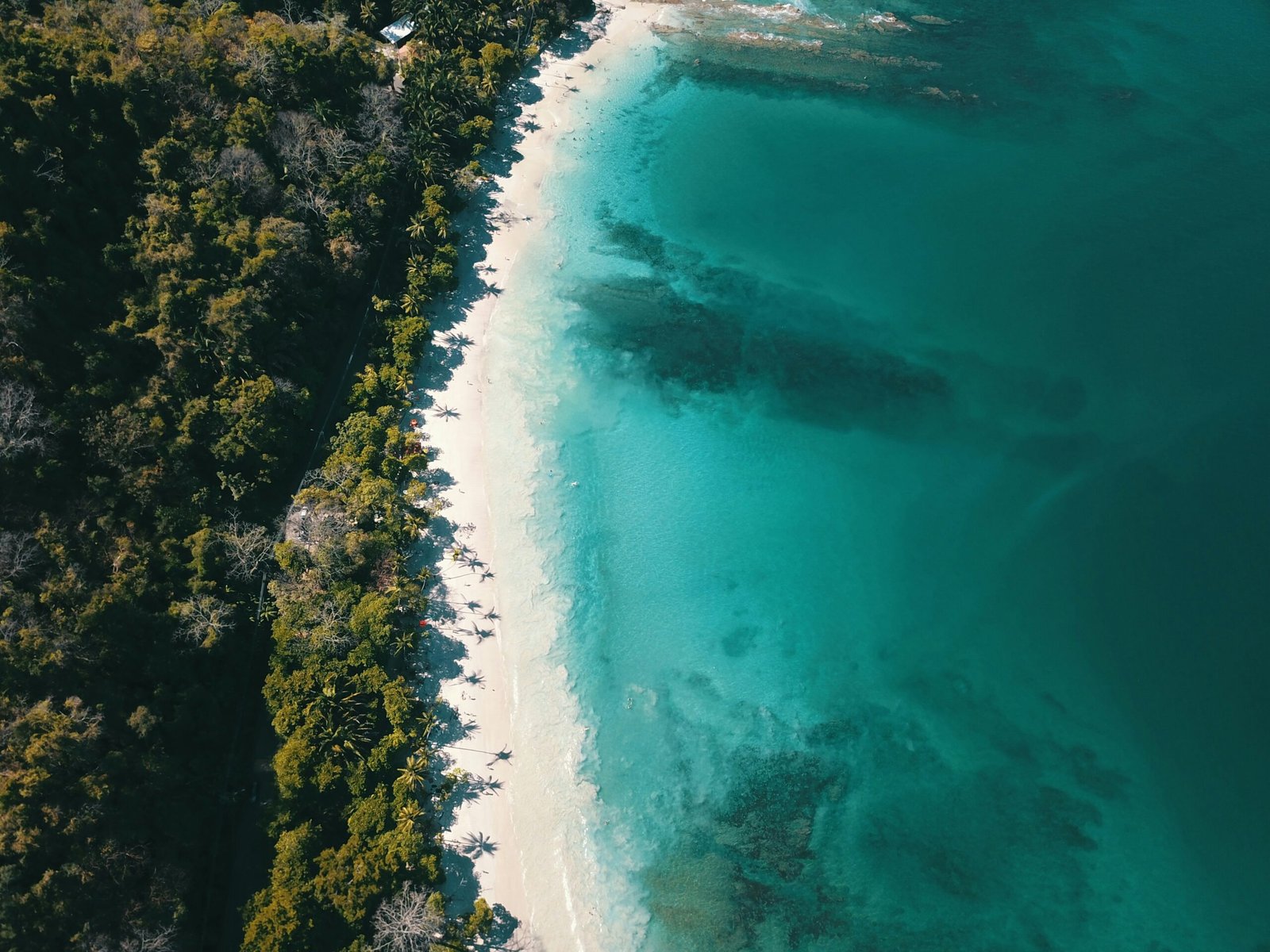 Luis Diego Aguilar 4hl866ST7kI Unsplash Scaled