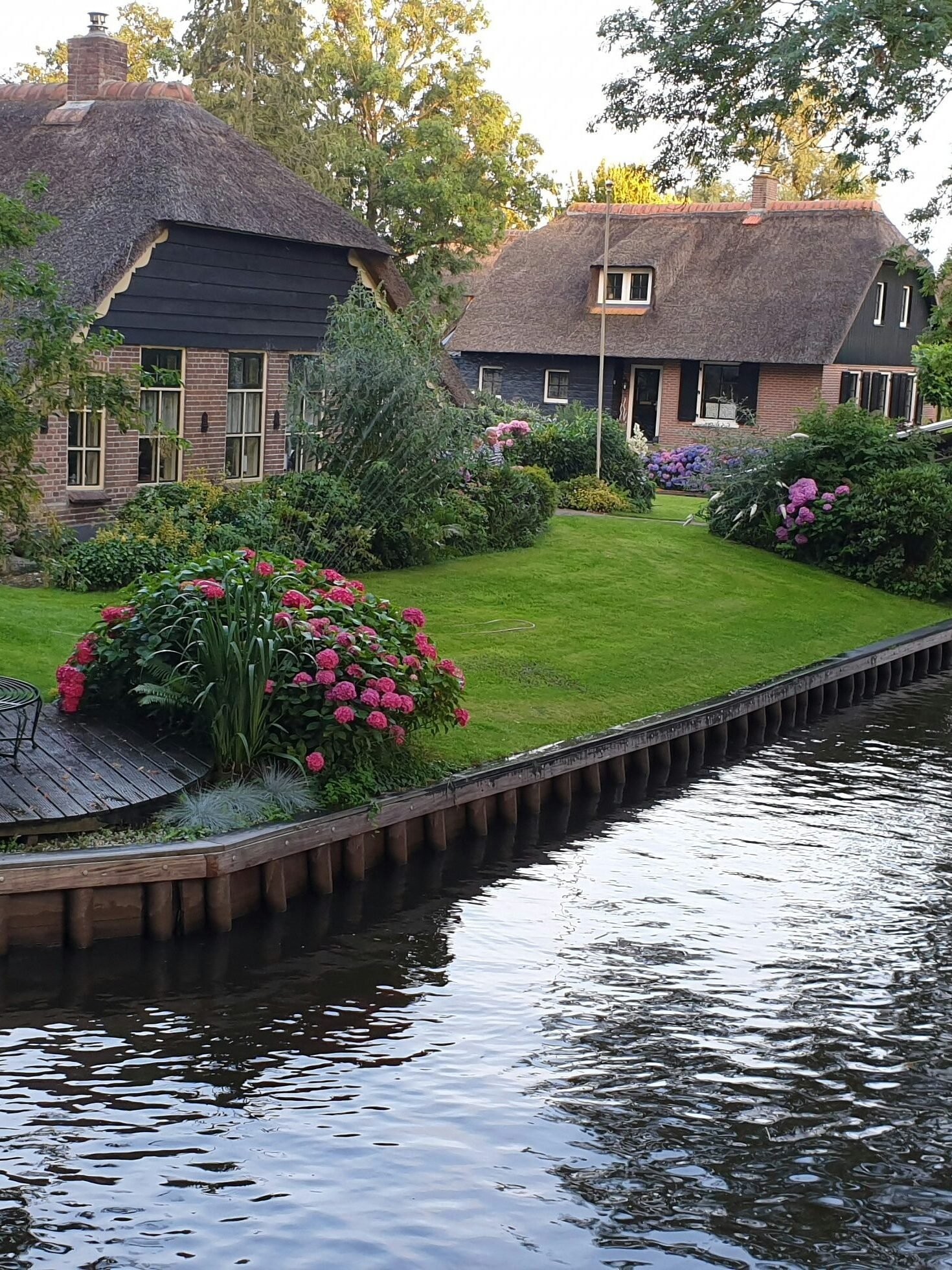 The Netherlands Zenvoya