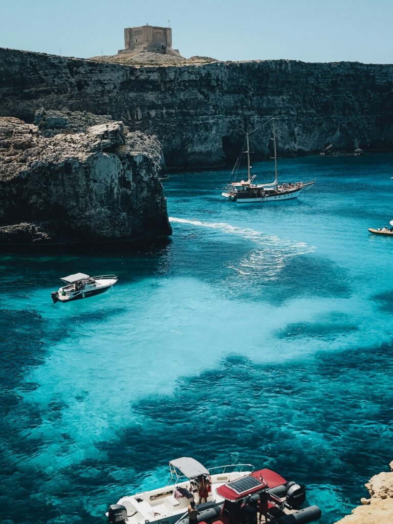 Malta spruce cwjggelsham unsplash