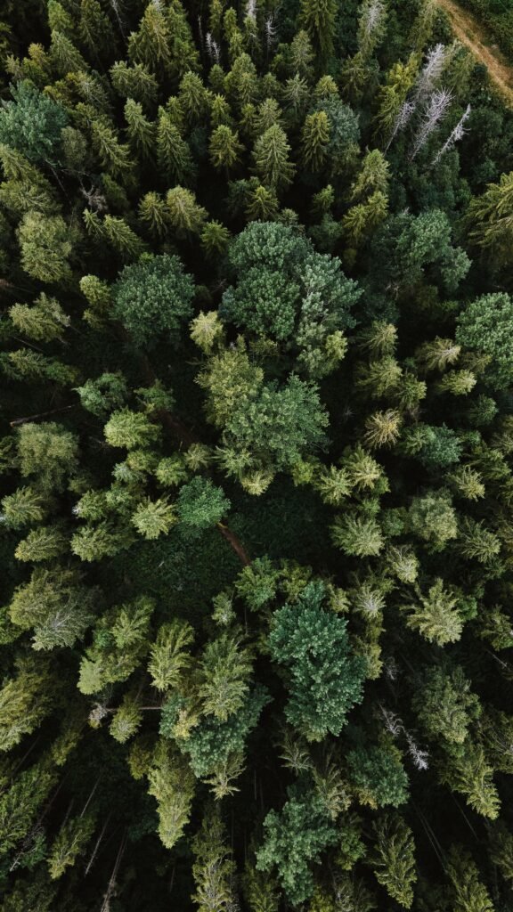 Sustainability earth