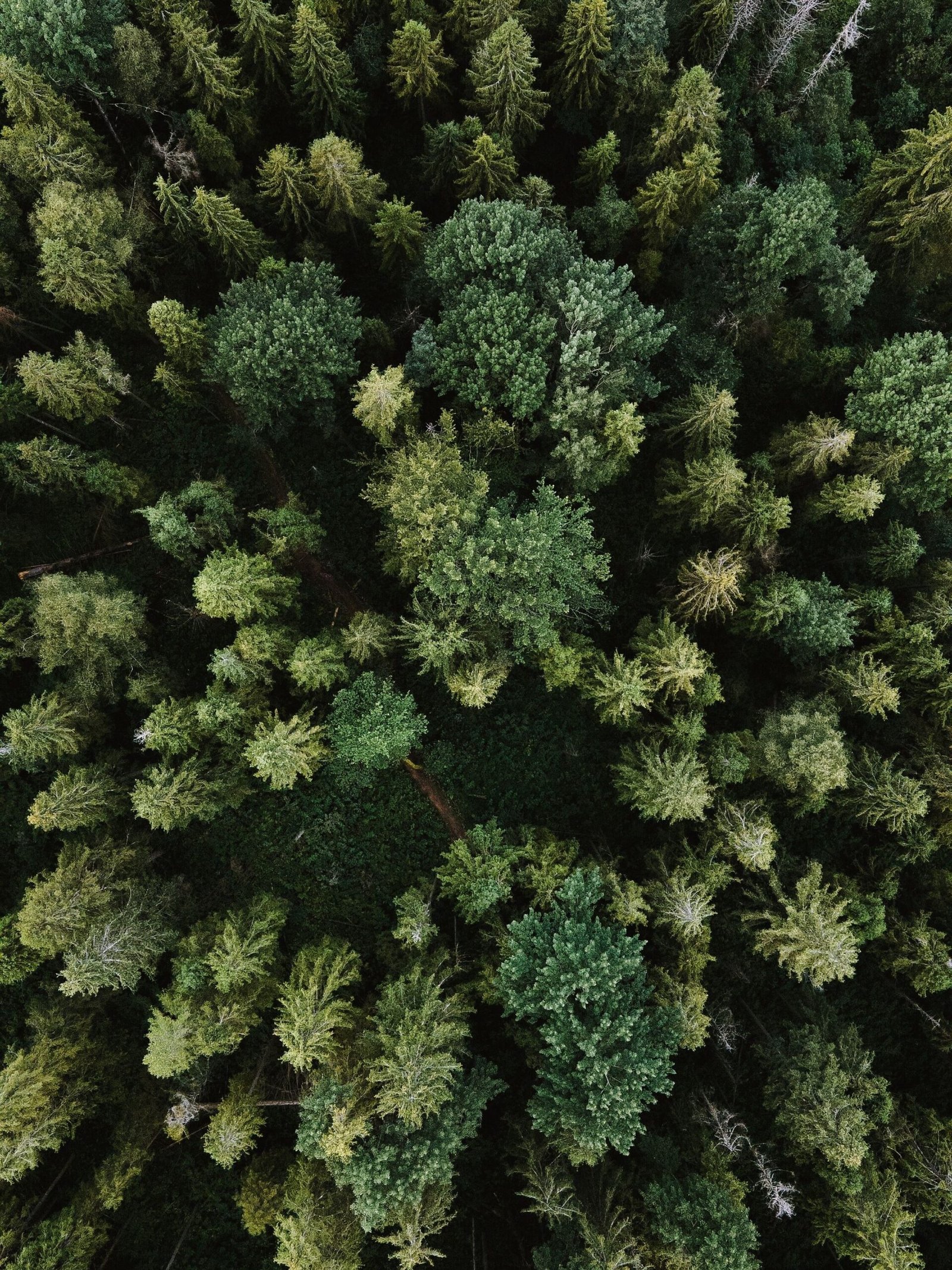 Sustainability earth