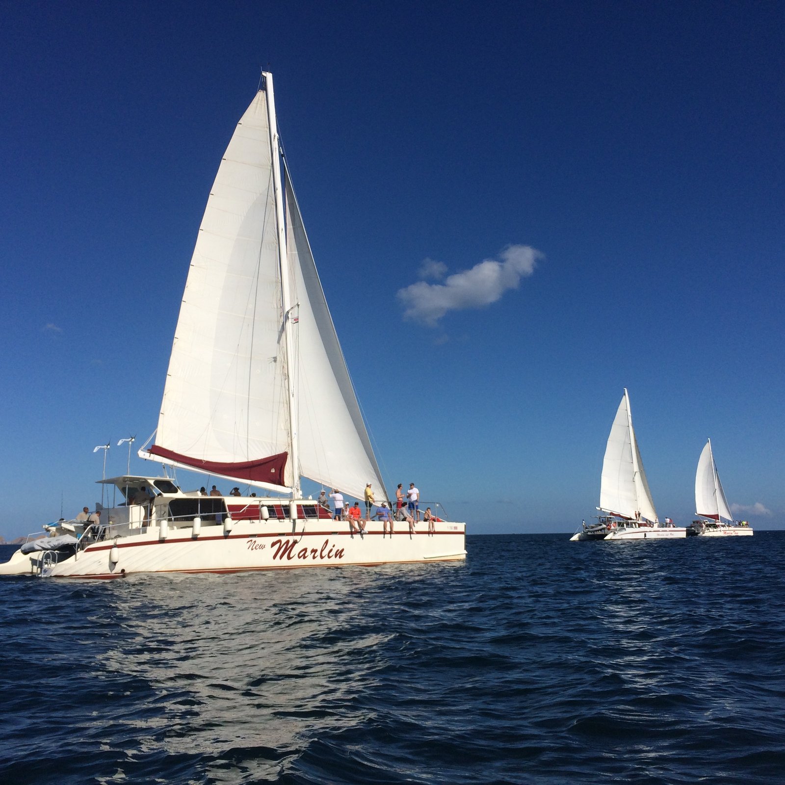 Marlin del Rey sailing fleet