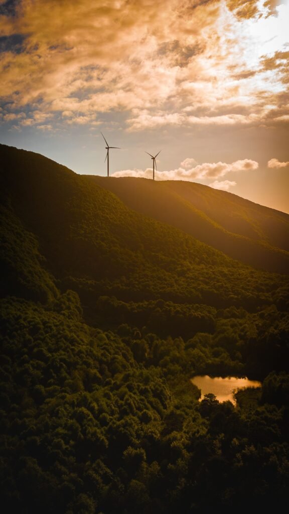Sustainability go green