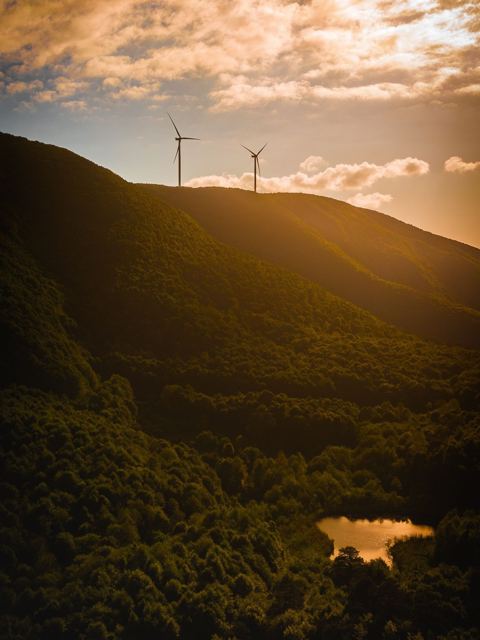 Sustainability go green