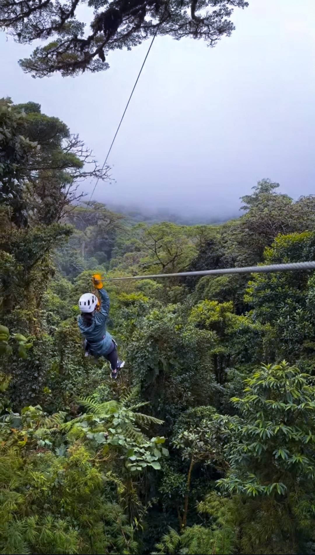 Selvatura Park canopy experience in Monteverde