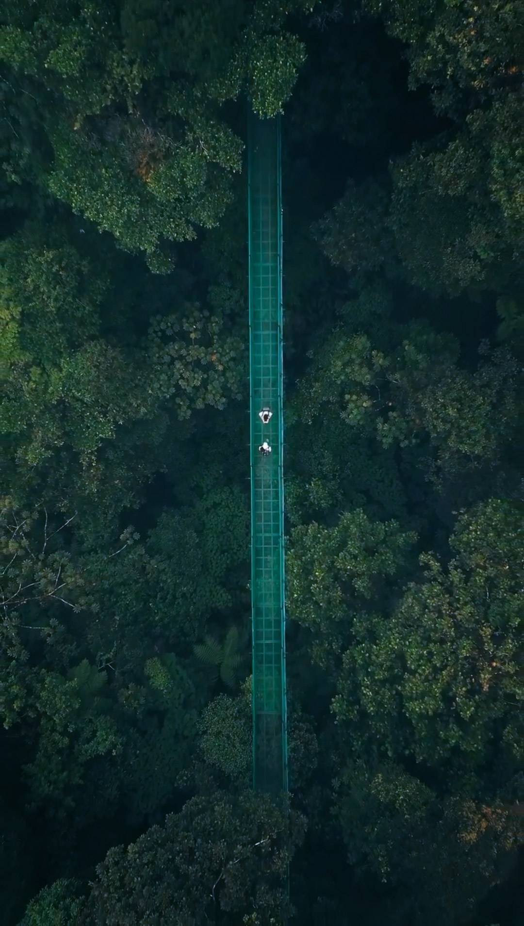 Monteverde cloud forest adventure Costa Rica