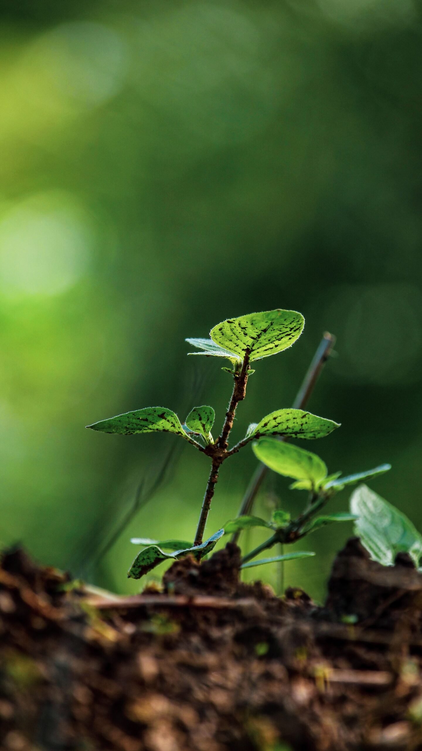 Sustainability save the planet
